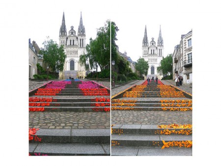 Origamis Urbanos - Rainbow